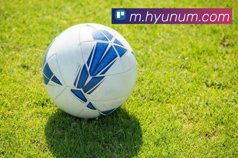 互动解说服务