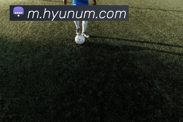 对战数据统计