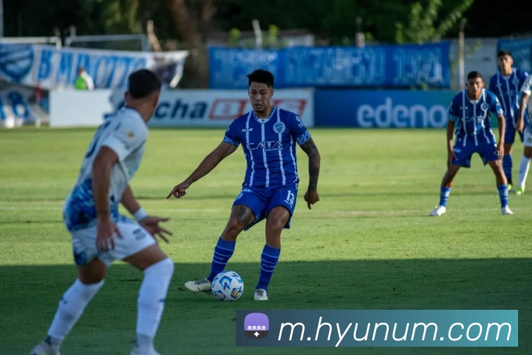 体育数据展示